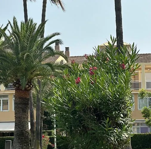 La Rosaleda 17 دينايا