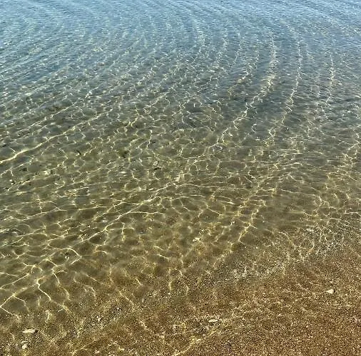 La Rosaleda 17 دينايا