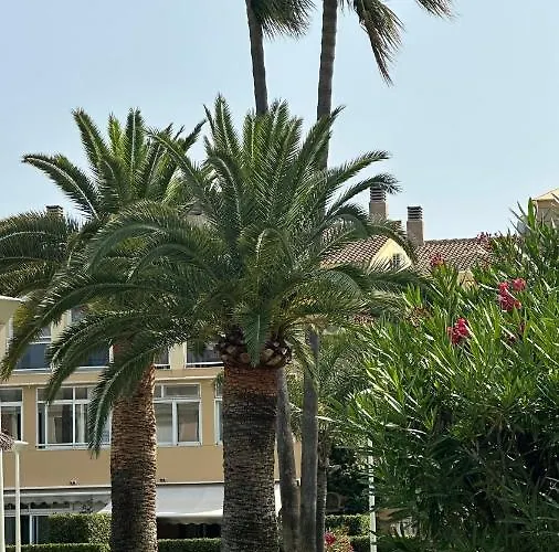 La Rosaleda 17 دينايا