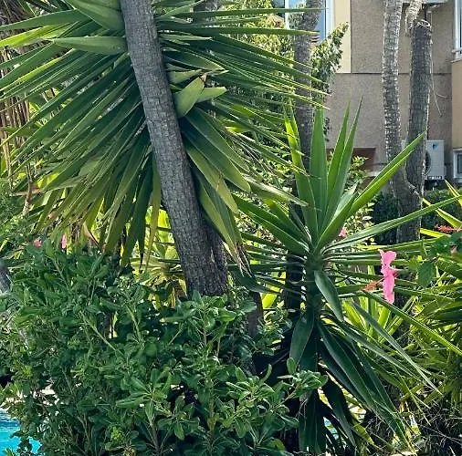 شقة La Rosaleda 17 دينايا